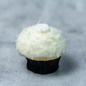 Coconut Cupcake