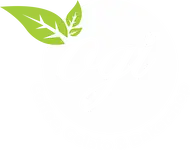 footer-logo